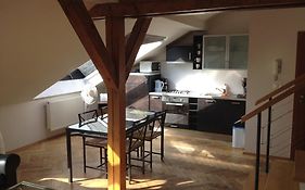 Penthouse Apartment In Vinohrady